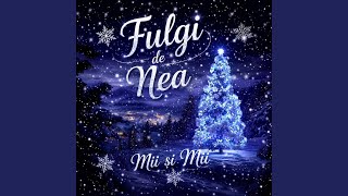 FULGI DE NEA