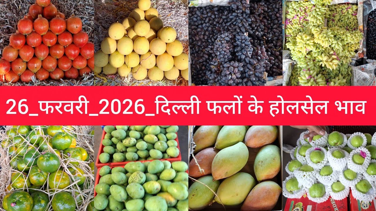 26 February 2026 दिल्ली सभी फलों के भाव delhi fruit market price Azadpur mandi aaj ka fruit rate 