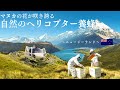 一面に広がるマヌカの木 大自然の中でのヘリコプター養蜂 杉養蜂園 ハチミツ Honey ニュージーランド Newzealand 蜂蜜 マヌカハニー 一面に広がるマヌカの木 大自然の中でのヘリコプター養蜂 杉養蜂園 ハチミツ Honey ニュージーランド Newzealand 蜂蜜 マヌカハニー