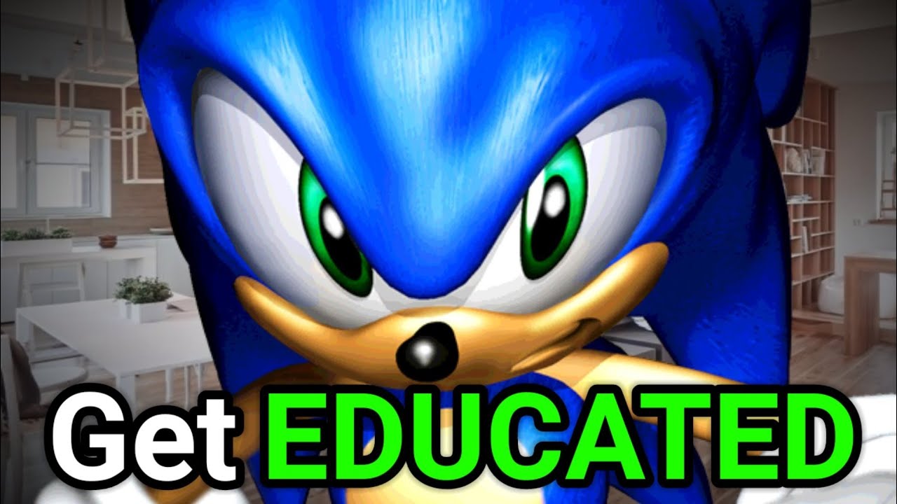 Sonic Educates You