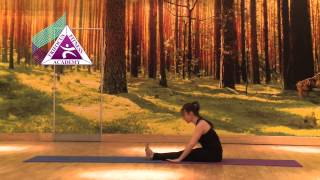 Yoga - Prthvi Namaskara (Earth Salutation)