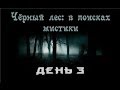 Черный лес: в поисках мистики. 3 день...bogomaz05