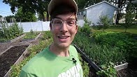 MIgardener - YouTube