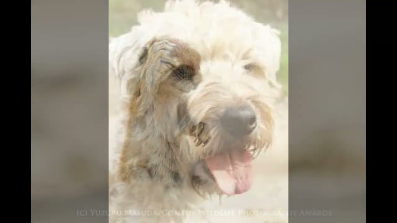 Kirner Jung - Viel zu spät