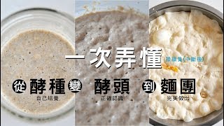 《不萊嗯的私房對談直播》(第02集中斷後)  一次弄懂  從酵種進入到酵頭到變成麵團