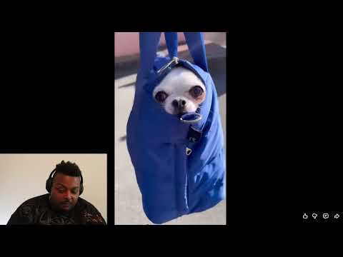 Reaction to UNUSUAL MEMES COMPILATION V359