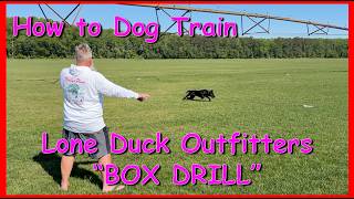 How To Dog Train - Lone Duck Outfitters \