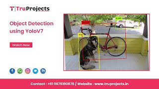 Object Detection using YoloV7