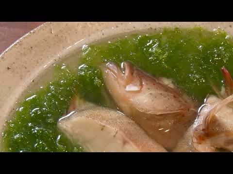 レシピ動画 ミーバイのマース 塩 煮 辺銀暁峰氏 沖縄県石垣島 ペンギン食堂 Youtube