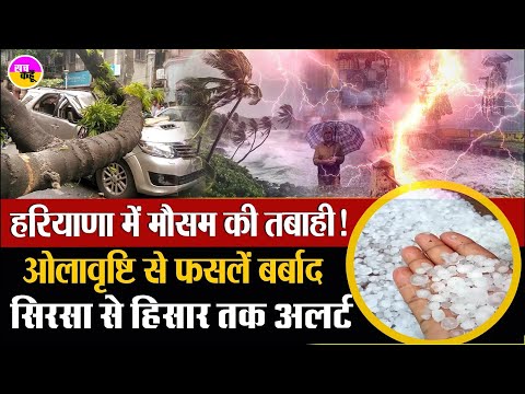 हरियाणा में मौसम का तांडव , सिरसा में ओले, बारिश-आंधी का कहर | Haryana Weather Disaster | Hailstorm - video from Sach Kahoon