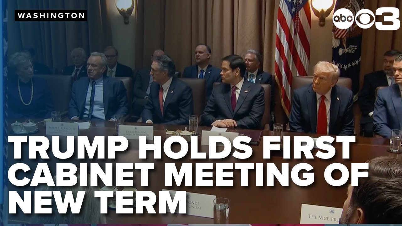 Trump holds first cabinet meeting of new term with Elon Musk in ...