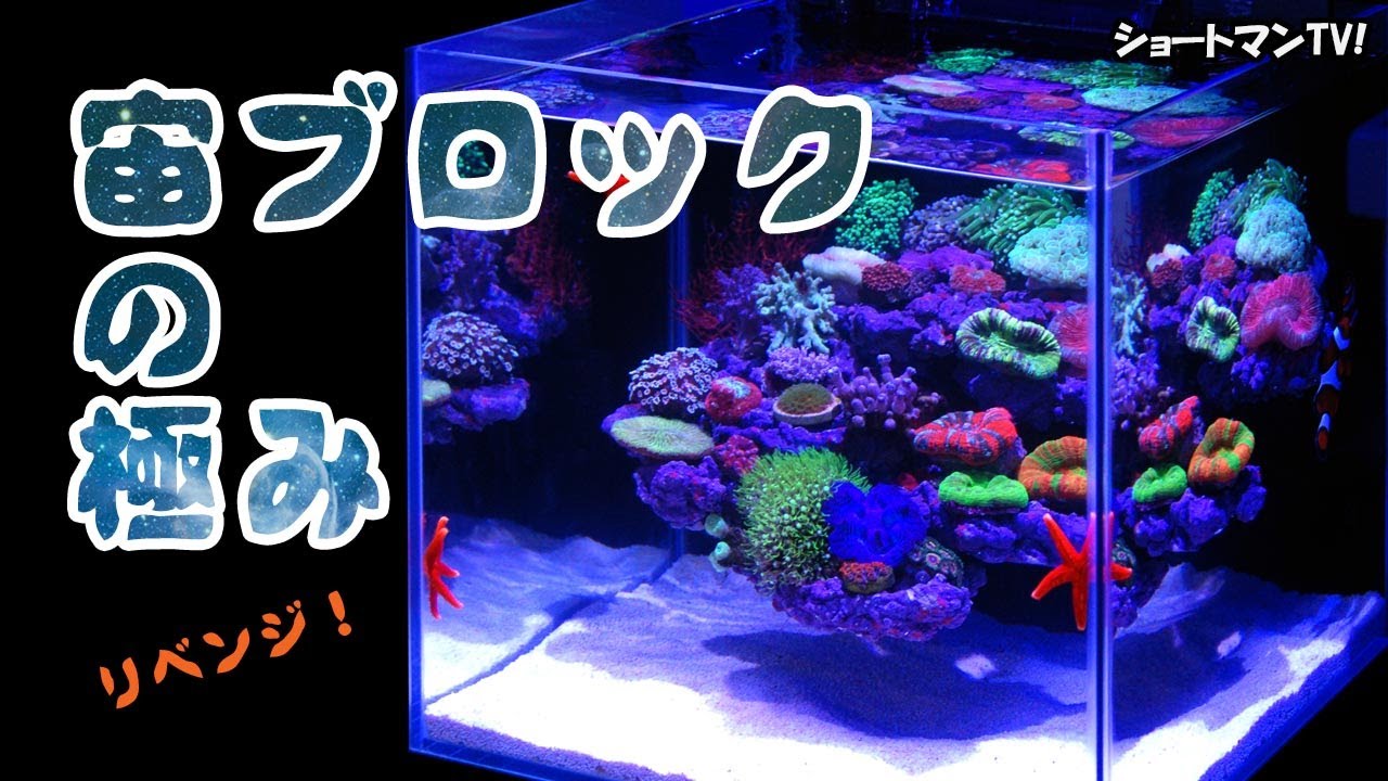 3連休大特価情報！宙ブロックの極み！リベンジ！ショートマンTV! - YouTube