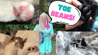 Toe Beans (to the tune of Dolly Parton's 'Jolene') by FurLife 46,232 views 1 year ago 2 minutes, 43 seconds