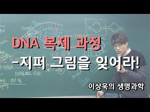 DNA 복제과정_ 지퍼그림을 잊어라!