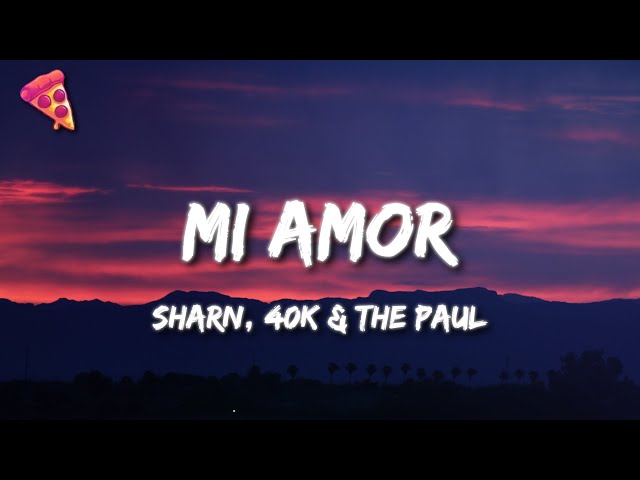Mi Amor (Lyrics) - Sharn, 40k u0026 The Paul class=