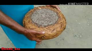 Cara Memasak Kuah Pliek U Ikan Mujair Kecombrang Khas Aceh || Kuah Pliek U Mujahet Reubong Kala #wns