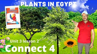 منهج الصف الرابع الابتدائي الجديد 2021 الوحدة الثالثة الدرس الثاني النباتات في مصر