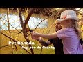 PVT Canada - Vlog famille #3 - Sortie au Zoo de Granby