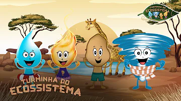 Como trabalhar os 4 elementos da natureza?