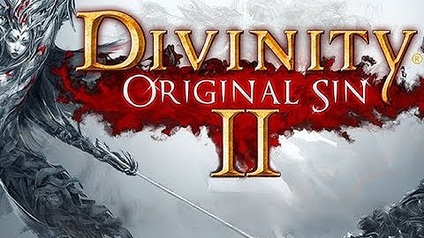 Divinity: Original Sin 2 |  Ep 1 - Accidental Murder | Let