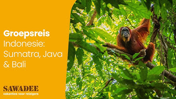 Groepsreis Sumatra, Java en Bali | Sawadee Reizen