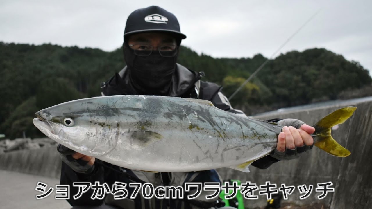 岩手県釜石周辺の堤防釣り場 小白浜漁港 花露辺漁港 ワラサ アジ Youtube