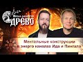 Энерго каналы Ида и Пингала. Разбор последствий устранения ментальной конструкции
