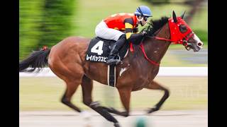20260503 競馬ﾚｰｽﾄﾋﾟｯｸ 18【人気どおり!】'26咲花特別 D1800 2勝C レイ