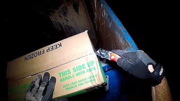 Dumpster Diving "It