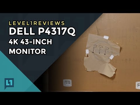 Dell P4317Q Monitor Review
