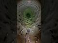 Desert Gecko Cam Inside a Secret Burrow😱#viral #shorts
