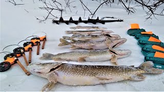 ВЫ НЕ ПОВЕРИТЕ!!! В этой ЛУЖЕ живут такие МАМКИ!!!