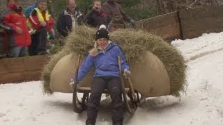 German thrill-seekers take part in horn sledging competition