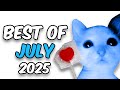 NASHIRANKS BEST OF JULY! (2025)