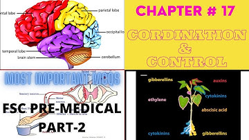 Coordination & Control MCQs TEST 1