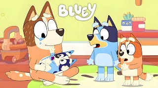 Bluey Season 4: 5 Popular Theories That Should Come True