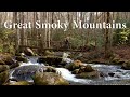 Smoky Mountains Backpacking:  Campsites 20, 27, 23 & 30