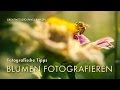 Fotografische Tipps: Blumen fotografieren