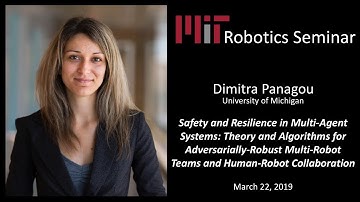 MIT Robotics - Dimitra Panagou - Safety and Resilience in Multi-Agent Systems