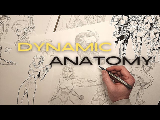 How to Draw Dynamic Anatomy - Step by Step