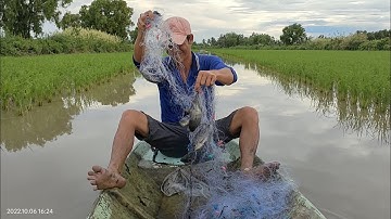 Thả Lưới Cá Tìm Đồ Ăn Bữa Cơm Chiều - Nhân Trương Vlog