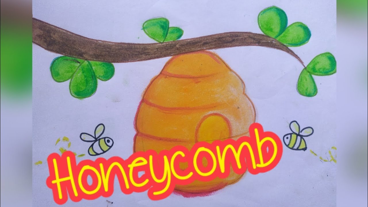 How to draw Honeycomb (For grade 4 &5) - YouTube