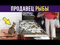 Приколы. КОТ-ПРОДАВЕЦ | Мемозг #162