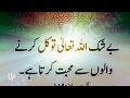 Amazing Collection Of Quranic Quotes In Urdu - YouTube