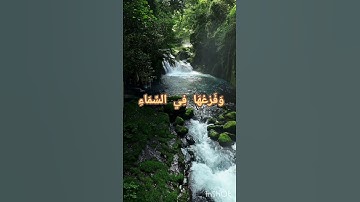 تلاوه خاشعه من سورة النحل #المصحف #القرآن_الكريم #quran #اكسبلور #سورة