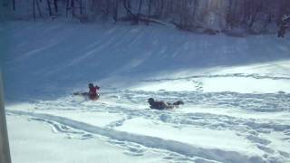 Boys Sledding 2.AVI