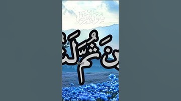 Holy Quran القران الكريم