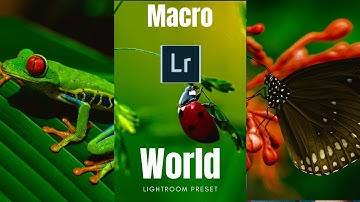 How to edit macro photos in lightroom pc