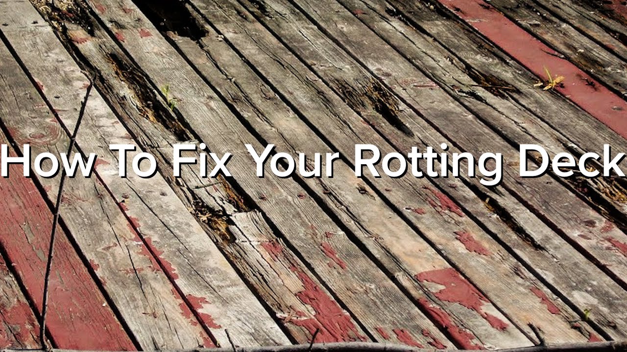 Repairing Rotten Logs - Epoxy is NOT the Answer