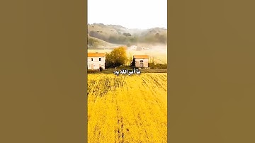 #اجمل_تلاوات_القران_الكريم #اجمل_تلاوات_القران_الكريم #تلاوات_نادرة #quran